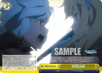DDM/S88-024 CR 戦闘訓練