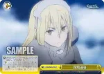 DDM/S88-024R RRR 戦闘訓練