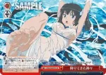 DDM/S88-P02 PR 眠れる神 ヘスティア