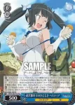 DDM/S88-T09 TD 1日の始まり ヘスティア