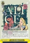 Dds/S104-024S  ふしぎの国のアリス
