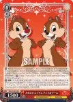(簽名)Dds/S104-059SP  かわいいシマリス チップ＆デール