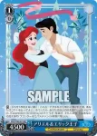 Dds/S104-P14  眠れる森の美女 オーロラ姫