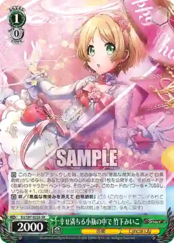 DJ/S97-052S SR 幸せ満ちる小瓶の中で 竹下みいこ