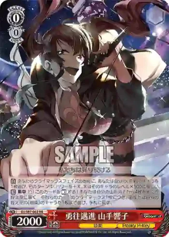 DJ/S97-062 RR 勇往邁進 山手響子