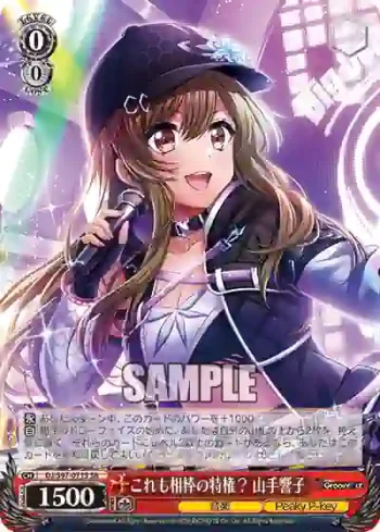 DJ/S97-071S SR これも相棒の特権？ 山手響子