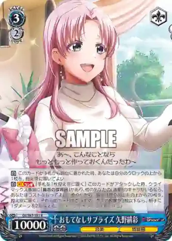 DJ/S97-101 R おもてなしサプライズ 矢野緋彩