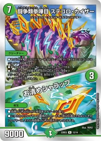 DM22BD3-012A R 闘争類拳嘩目 ステゴロ・カイザー / お清めシャラップ