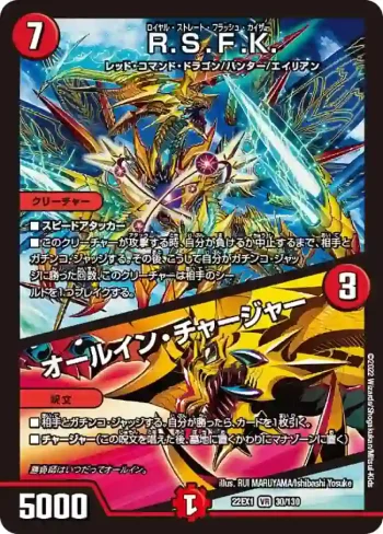 DM22EX1-030A VR R.S.F.K. / オールイン・チャージャー