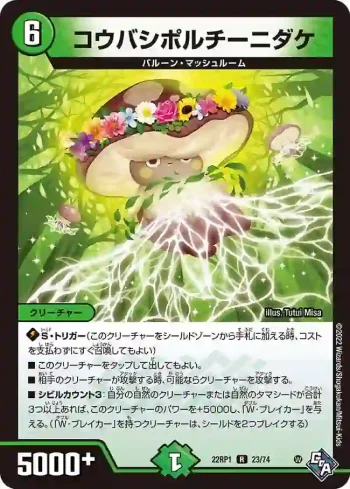 DM22RP1-023 R コウバシポルチーニダケ