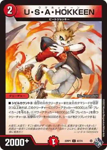 DM22RP1-067 C U・S・A・HOKKEEN