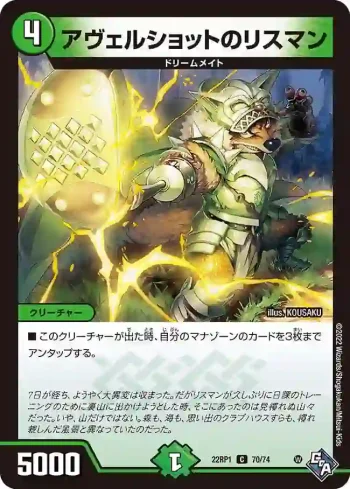 DM22RP1-070 C アヴェルショットのリスマン