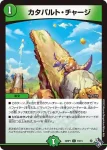 DM22RP1-074 C 繁茂のコイン