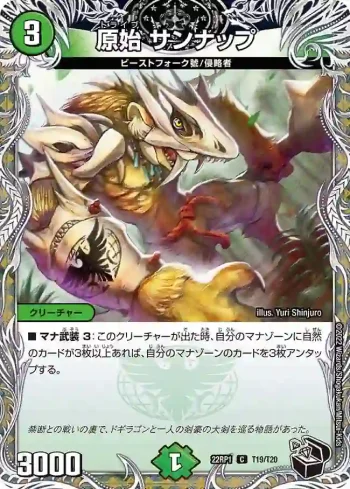 DM22RP1-T19 C 原始 サンナップ