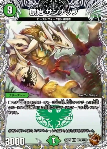 DM22RP1-TF19 C 原始 サンナップ