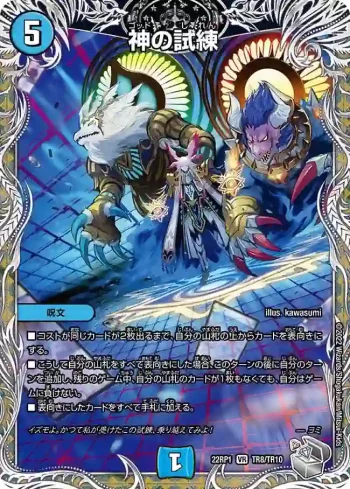 DM22RP1-TR8 VR 神の試練