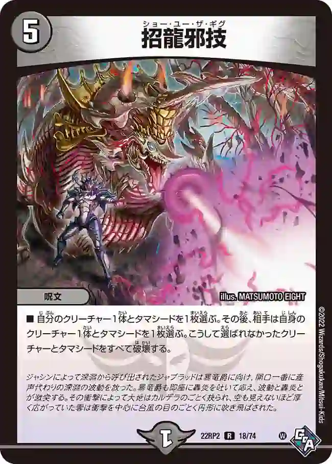 dm22rp2-018 DM22RP2-018 R 招龍邪技