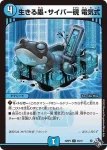 DM22RP2-034 U 竪琴魚