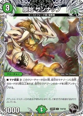 DM22RP2-T19 C 原始 サンナップ