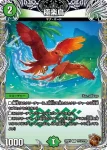 DM22RP2-TF11 R Dの花道 ズンドコ晴れ舞台