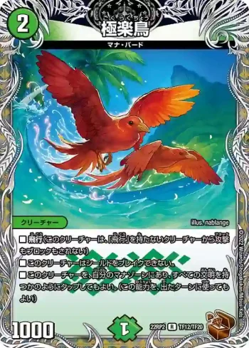 DM22RP2-TF12 R 極楽鳥