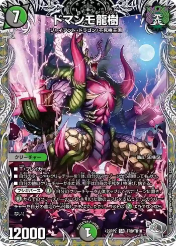DM22RP2-TR8 SR ドマンモ龍樹