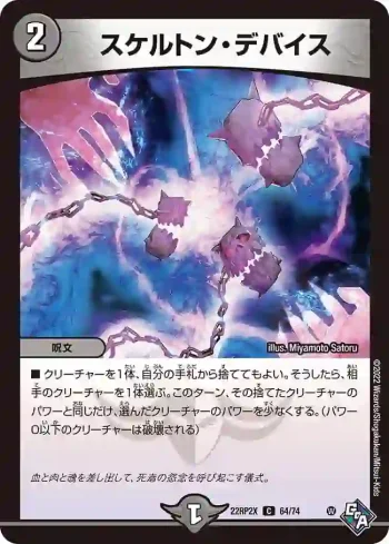 DM22RP2X-064 C スケルトン・デバイス
