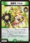 DM26SD1-Q011 U アシステスト・シネラリア