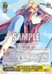DS/W81-097 RR 賑やかな朝 ひまり