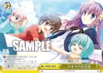 DS/W81-100 CR ひまりのお友達