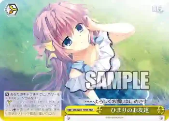 DS/W81-100R RRR ひまりのお友達