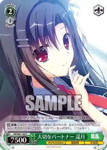 DS/W81-102 C 大切なパートナー 遥月