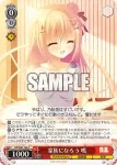 DS/W81-106 C 家族になろう 鳴