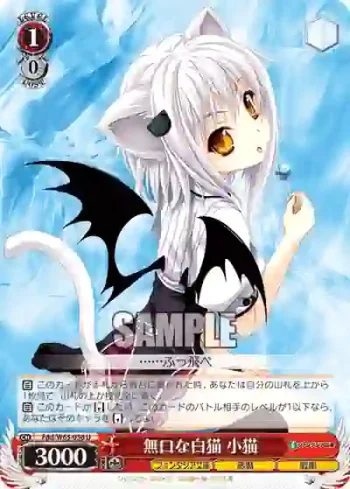 Fdd/W65-056 U 無口な白猫 小猫