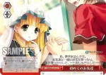 Fdd/W65-068 U 共に信じる夢