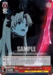 FGO/S75-056S SR 心強い味方 イシュタル