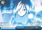 FGO/S75-099 CC カルデアのバックアップ