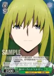 FGO/S75-T03 TD 謎のサーヴァント 『エルキドゥ』
