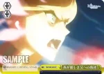 FGO/S87-027 CC 痛哭の幻奏