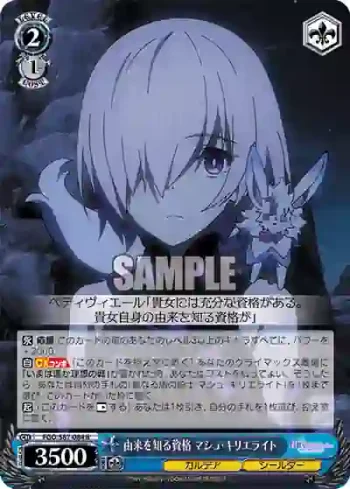 FGO/S87-084 R 由来を知る資格 マシュ・キリエライト