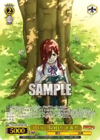 (簽名)FT/S120-007SSP SSP 戦いの外の日々 エルザ