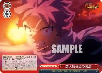 FT/S120-073 CR 燃え盛る炎の魔法