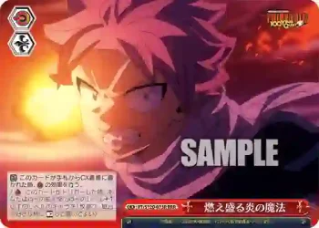 FT/S120-073R RRR 燃え盛る炎の魔法