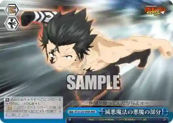 FT/S120-098R RRR 滅悪魔法の悪魔の部分