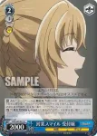 GBS/S63-080 U ふくれっ面の女神官