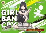 GCR/SE48-49GBC GBCR 極私的極彩色アンサー