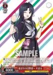 GCR/SE48-T08R RRR 始まりの目撃者へ すばる