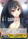 GRI/S112-017S SR 挑戦者 マキ