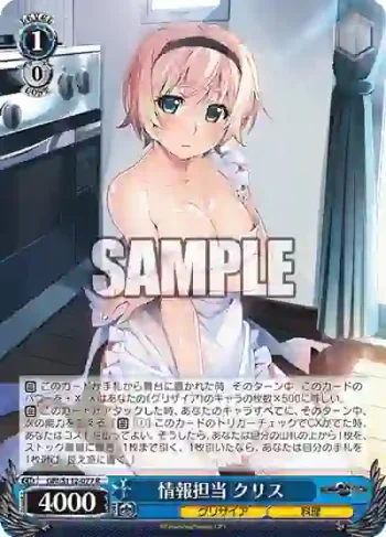 GRI/S112-077 R 情報担当 クリス