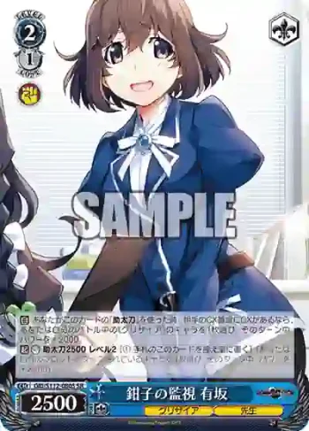 GRI/S112-080S SR 鉗子の監視 有坂